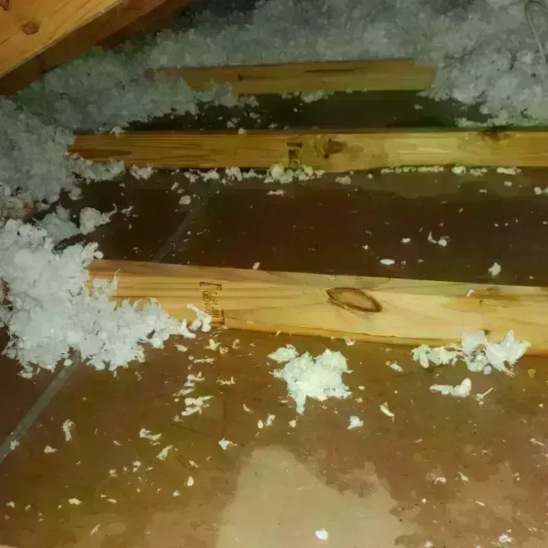 Attic Water Damage in Holiday Valley, OH