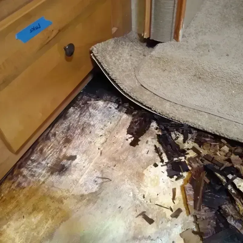 Best Wood Floor Water Damage Service in Holiday Valley, OH